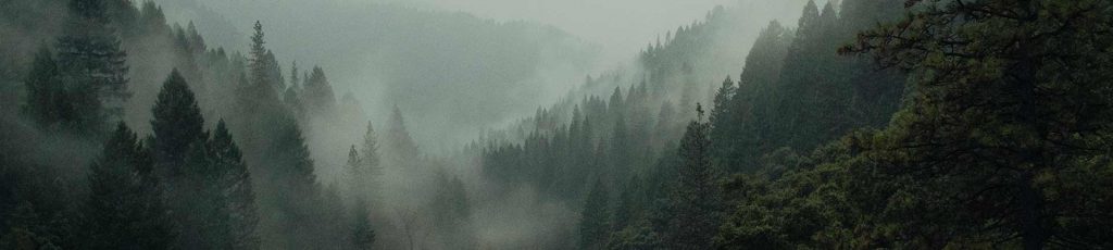 SM Counselling Services