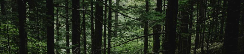 SM Counselling Services